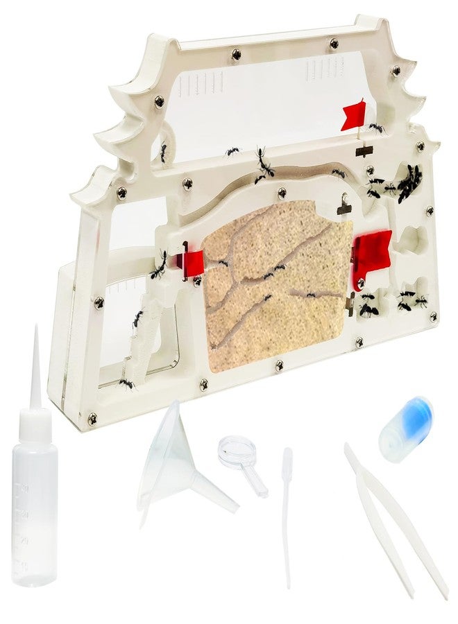 EXBEPE Ant Farm Castle,Ant Colony Habitat Observation Tool Kits,Bug Terrarium House,Nature Learning Toys, Education Science Kit - Image 1